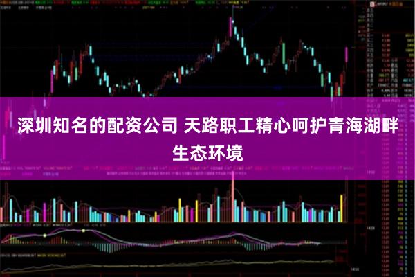 深圳知名的配资公司 天路职工精心呵护青海湖畔生态环境