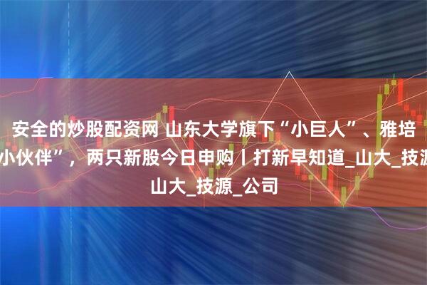 安全的炒股配资网 山东大学旗下“小巨人”、雅培集团“小伙伴”，两只新股今日申购丨打新早知道_山大_技源_公司