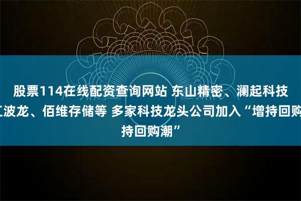 股票114在线配资查询网站 东山精密、澜起科技、江波龙、佰维存储等 多家科技龙头公司加入“增持回购潮”